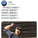 빨강다람쥐 이미지
