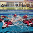 서촌초등학교 이미지