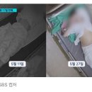 "사망 시간까지 묶어놓고 약만 먹였다" 방송 출연 유명 의사 병원서 30대女 사망 이미지