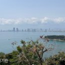 린트래블 이미지