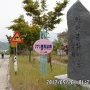 반딧불척추연동치유센터 Daum카페
