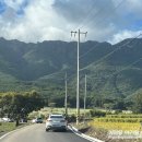 다이소양산통도사점 | 경남 아이랑 갈만한곳 양산 통도사 메밀꽃밭 헤매다 찾은 후기 l 네비 주소 위치, 준비물, 꿀팁
