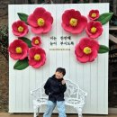 2026 서천동백꽃주꾸미 축제 첫날 먹거리 볼거리 솔직후기