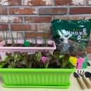 동두천시치매안심센터 이미지