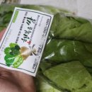 둥구머리협동조합 이미지