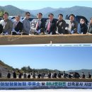 청풍주유소 이미지