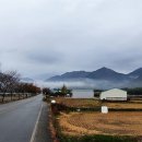 본향 Daum카페