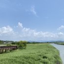 3박 4일 순천 여수 여행 2일차(순천만습지, 순천만국가정원, 건봉국밥, 양지쌈밥)