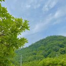 두륜산관광펜션 이미지