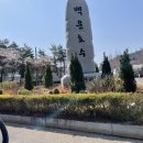 백운호수 주차장 이미지