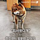 동천동주민센터 이미지