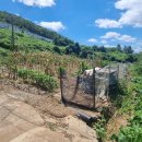 기재농장 이미지