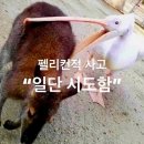 주식회사 베이스노트펫 | [컴활 2급 필기] 10일안에 잡도리 하기(노베이스)