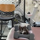 와이트레이닝스튜디오 이미지