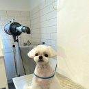 홍글몽글 이미지