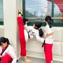 송탄 경희대 태권도 이미지