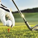 킹스스크린골프 이미지