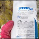 고읍1통마을회관 | 마을 창고에 나타난 노린재 퇴치 방법