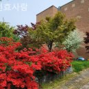 용인효사랑 | 백암면요양원 용인효사랑 솔직후기