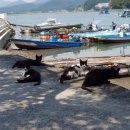 신서촌 자동차 정비 이미지