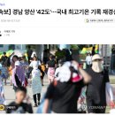 [속보] 경남 양산 '42도'…국내 최고기온 기록 재경신 이미지