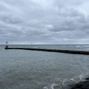 하례망장포로 이미지