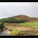 성읍2리 이미지