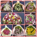 김만식농장 이미지