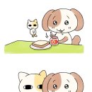 멍구멍구 이미지