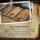 커피나무`S