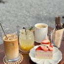 테우로26 | [제주도]3월 제주도 2박 3일 여행 1일차(이호테우, 돌염전, 바른갈치, 카멜리아힐, 펜고호다, 산방산...