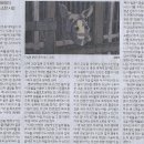 이오공공