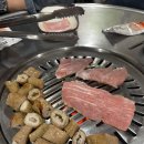 이지비야 이미지