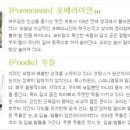 하빈애견농장 이미지