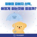 동물병원 산책 네이버블로그