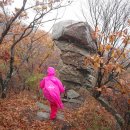 장흥축협 인근 | 금북정맥 제10구간(나본들고개-무르티고개) 종주산행