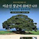 이순신 장군이 쉬어간 나무, 남해 창선도 왕후박나무 한국아트뉴스 이미지