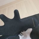 미용하는 강아지 살롱 이미지