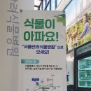 내곡동416 이미지