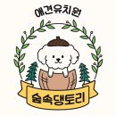 숲속댕토리애견유치원 이미지