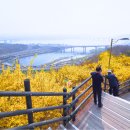 꽃동산어린이공원-2 이미지