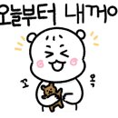 라인브라이덜