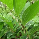 낭성산성 이미지