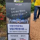 별빛정원펜션