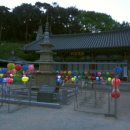 임천 가림성 느티나무 이미지