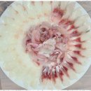 오렌지 민박 | 거제펜션 편안함과 맛이 가득한 이수도 오렌지민박 후기