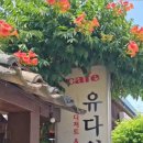 양을로 143번길 6 이미지