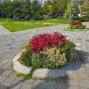 찬우물근린공원 공원화장실 이미지