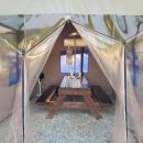 쌍둥이네 애견 이미지