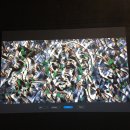 토마스 사라세노 <행성 그 사이의 우리> 이미지